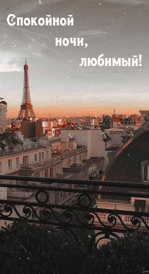 Спокойной ночи, любимый! 