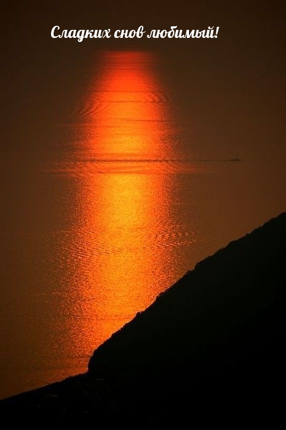 Сладких снов любимый!