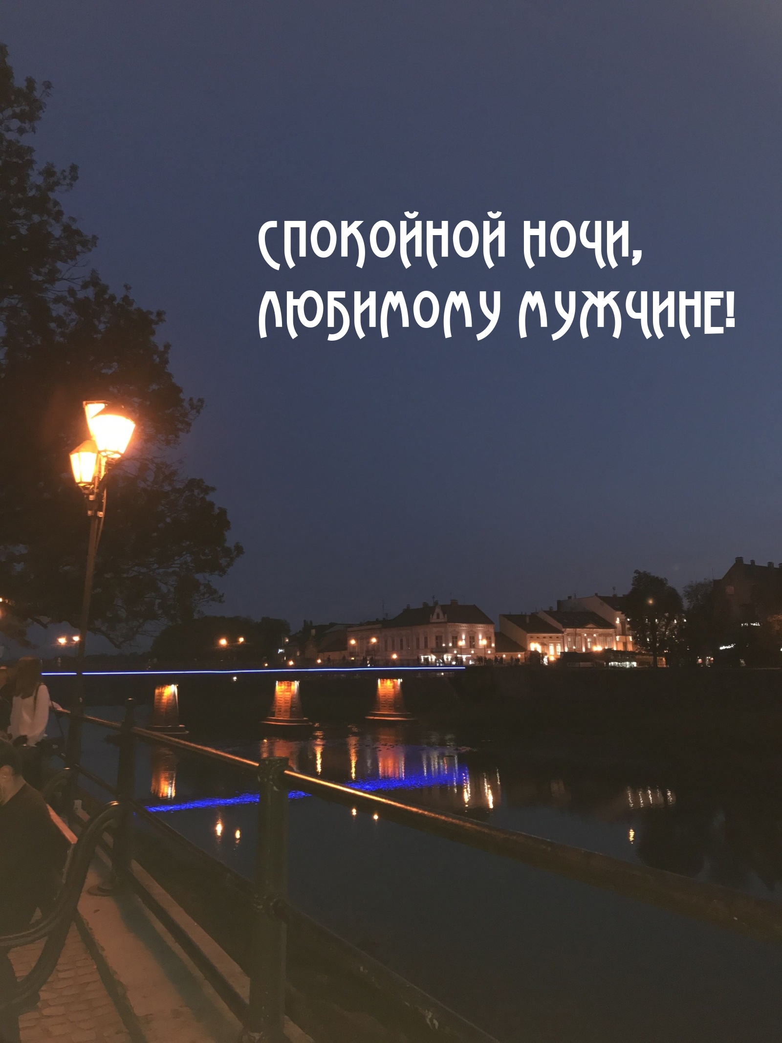 Спокойной ночи, любимому мужчине!