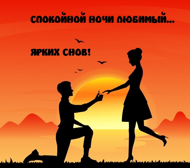 Спокойной ночи любимый... Ярких снов!