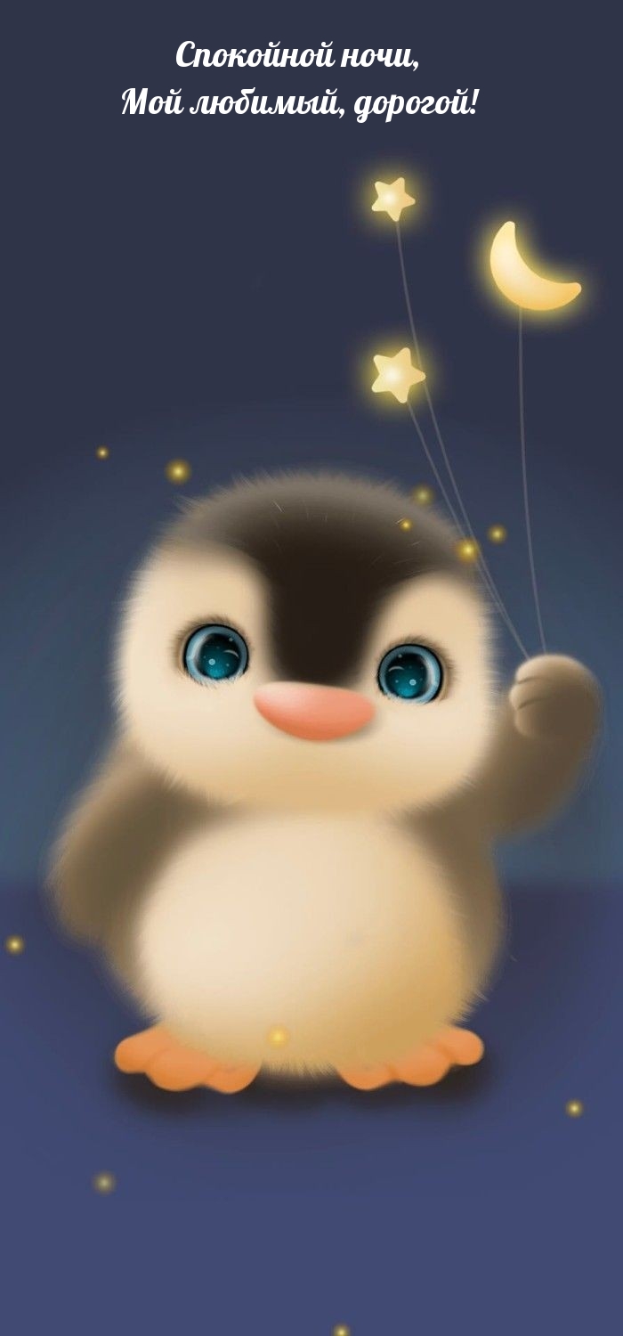 Спокойной ночи, мой любимый, дорогой!
