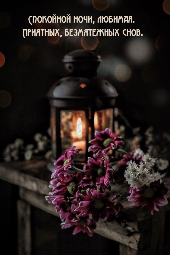 Спокойной ночи, любимая. Приятных, безмятежных снов.