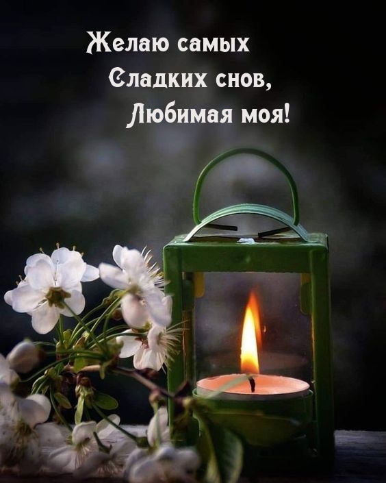 Желаю самых сладких снов, Любимая моя!