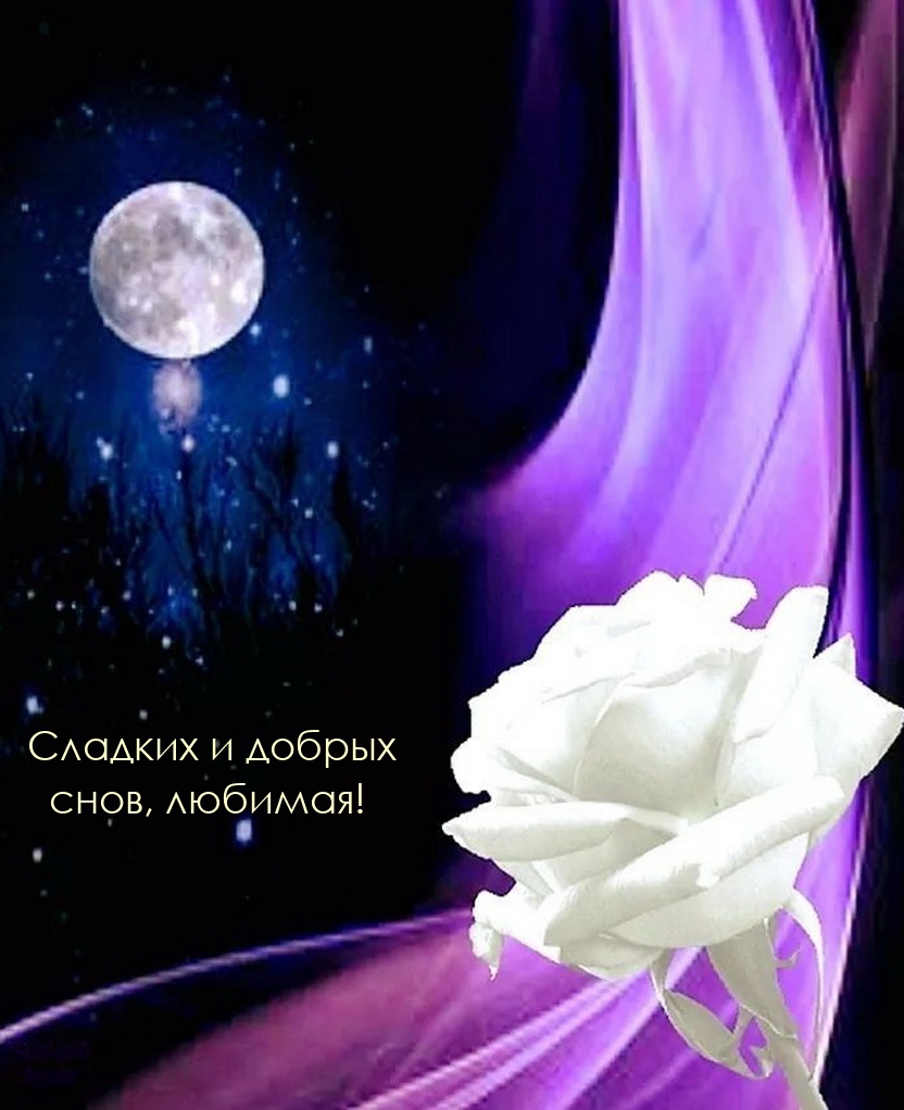 Сладких и добрых снов, любимая!