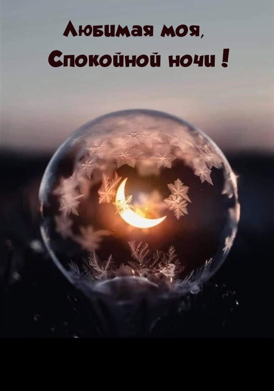 Любимая моя, Спокойной ночи!