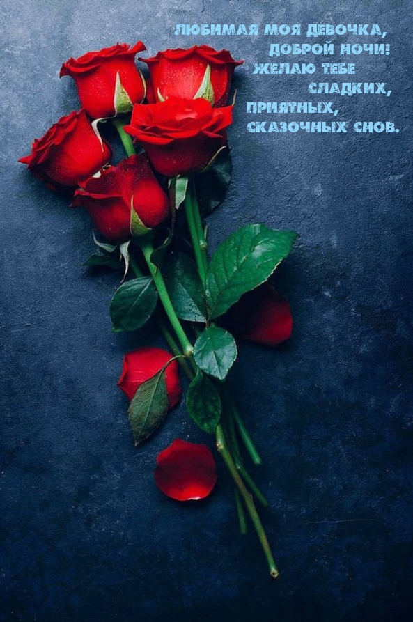 Любимая моя девочка, доброй ночи! Желаю тебе сладких