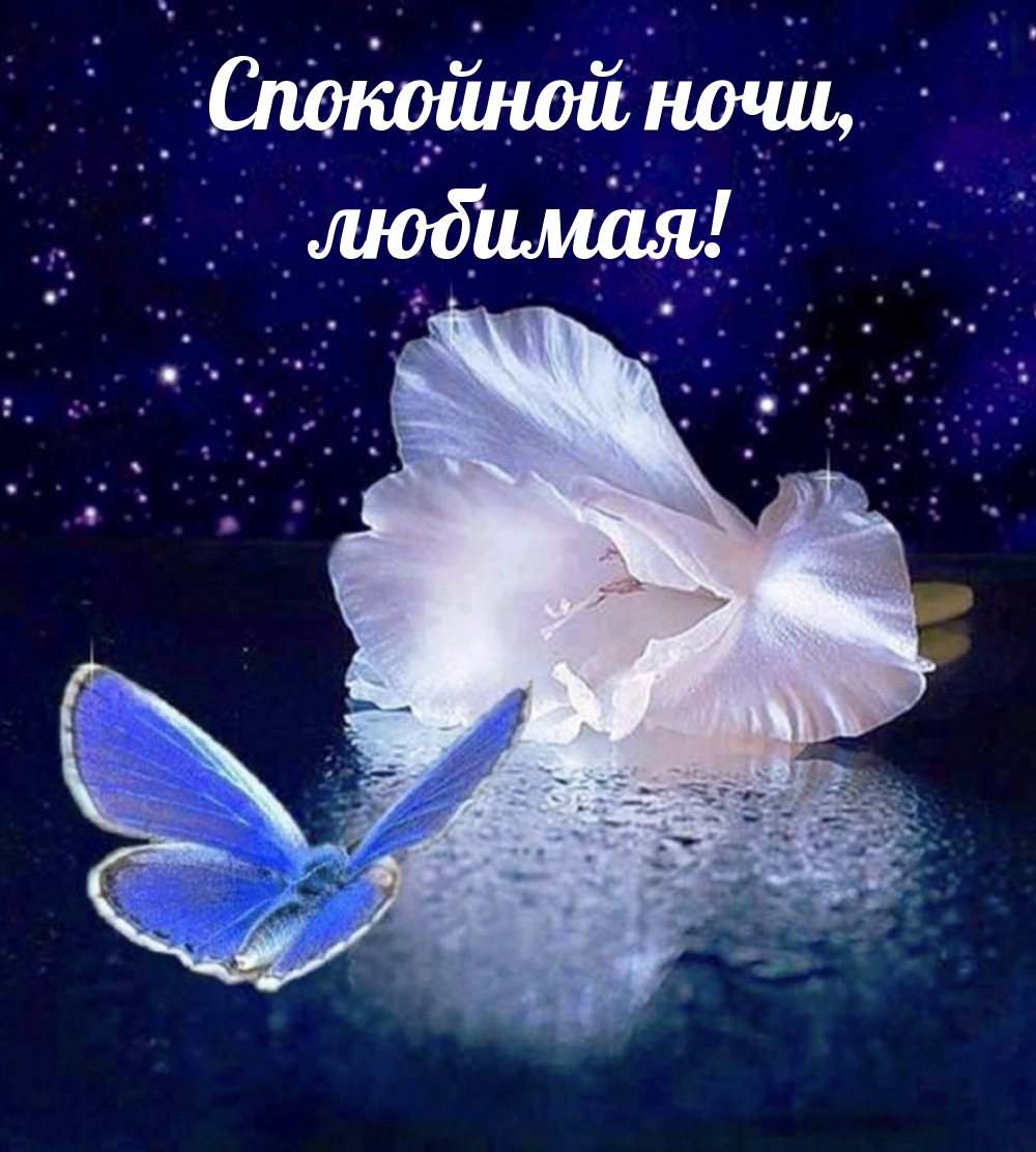 Спокойной ночи, любимая!