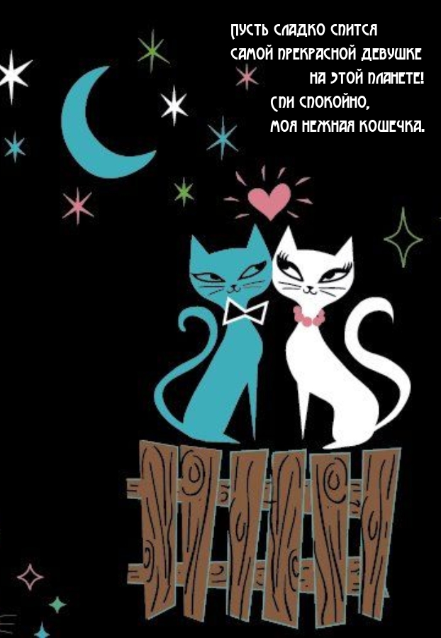 Спи спокойно, моя нежная кошечка. 