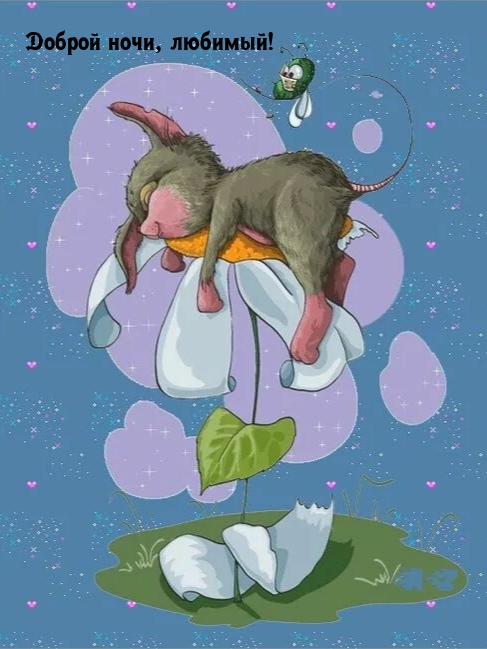 Доброй ночи, любимый!