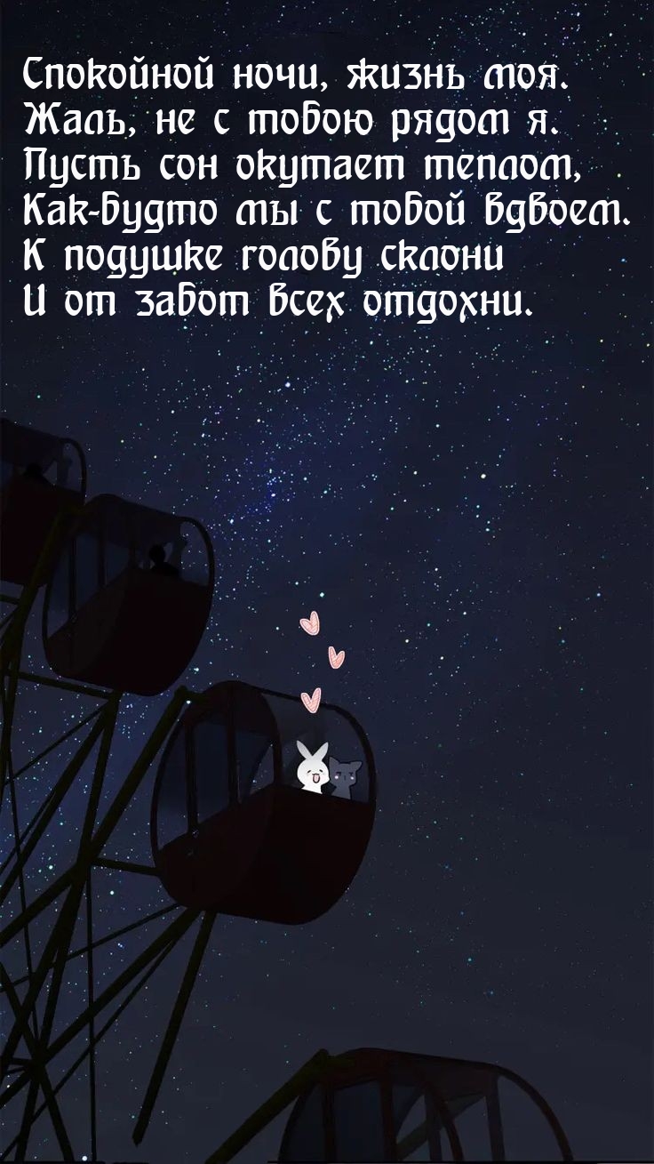Спокойной ночи, жизнь моя. Жаль, не с тобою рядом я.