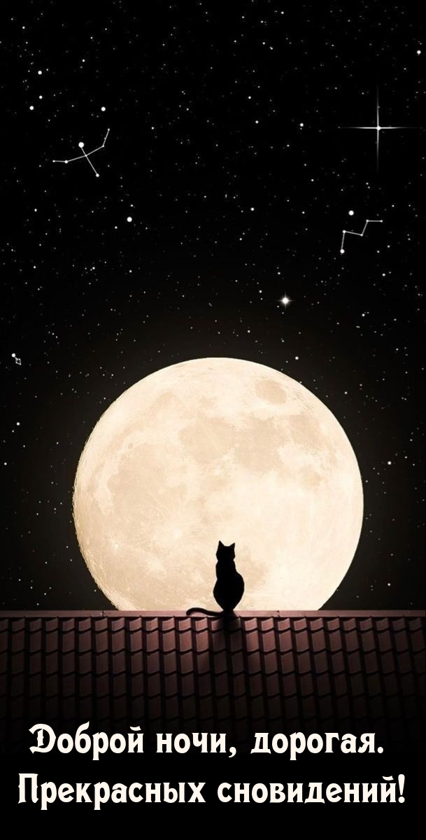 Доброй ночи, дорогая. Прекрасных сновидений!