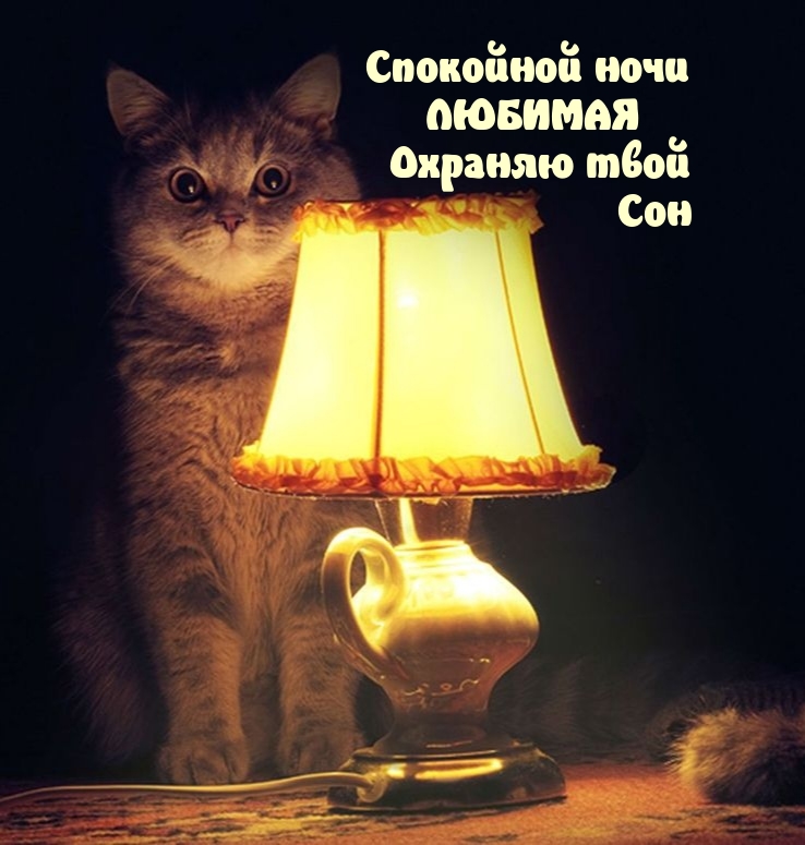 Спокойной ночи ЛЮБИМАЯ Охраняю твой Сон