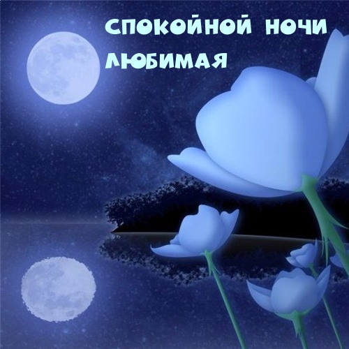 Спокойной ночи ЛЮБИМАЯ