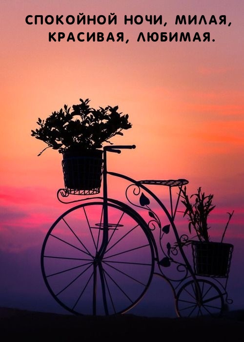 Спокойной ночи, милая, красивая, любимая.