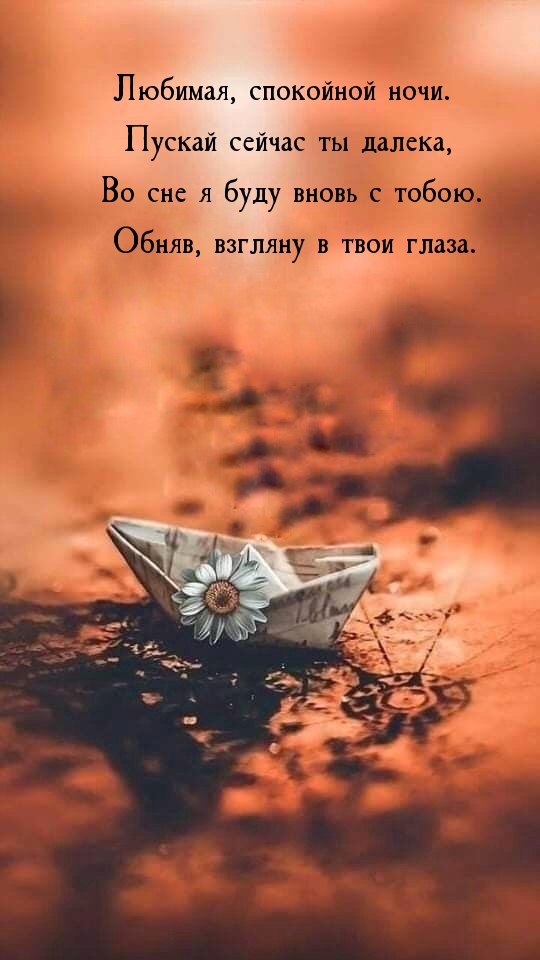 Любимая, спокойной ночи. Пускай сейчас ты далека