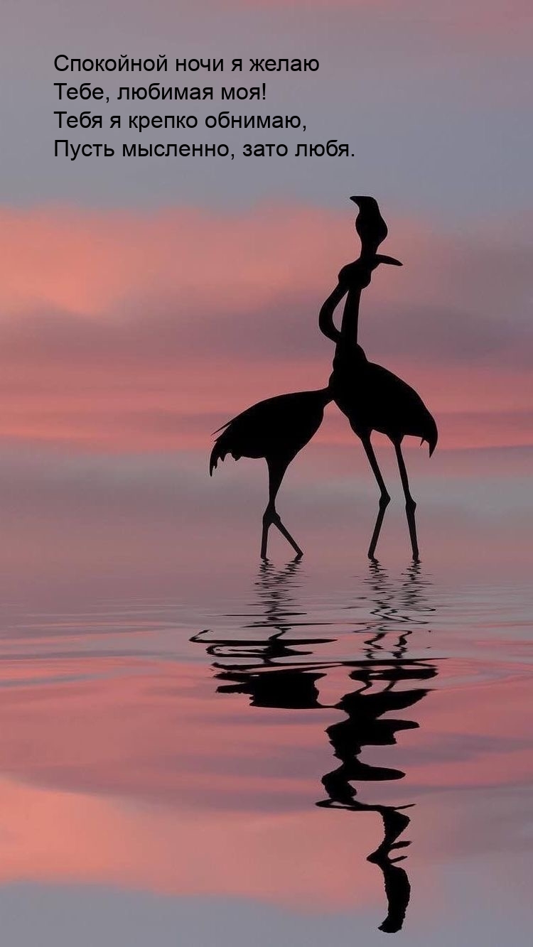 Спокойной ночи я желаю тебе, любимая моя!