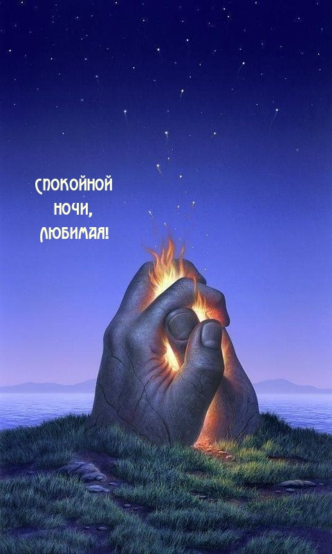 Спокойной ночи, Любимая!