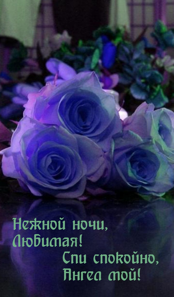 Нежной ночи, Любимая! Спи спокойно, ангел мой!
