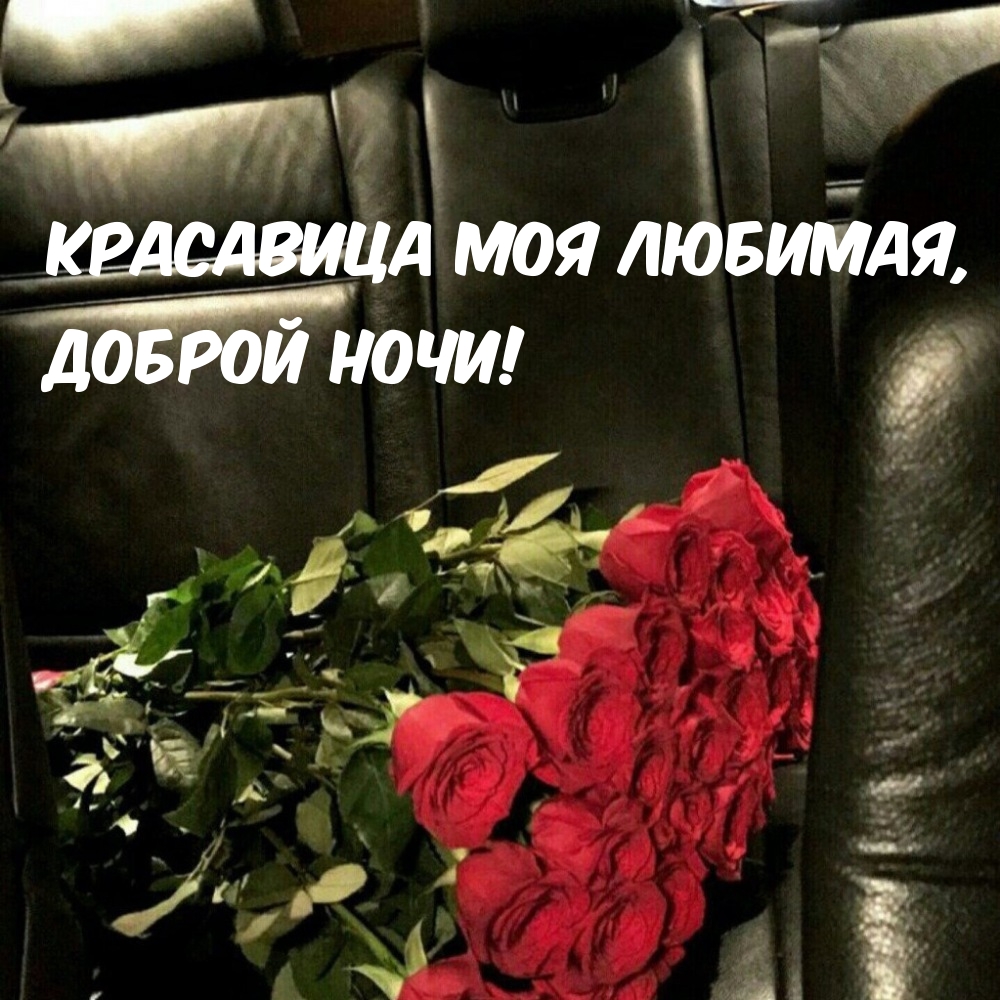 Красавица моя Любимая, Доброй Ночи!