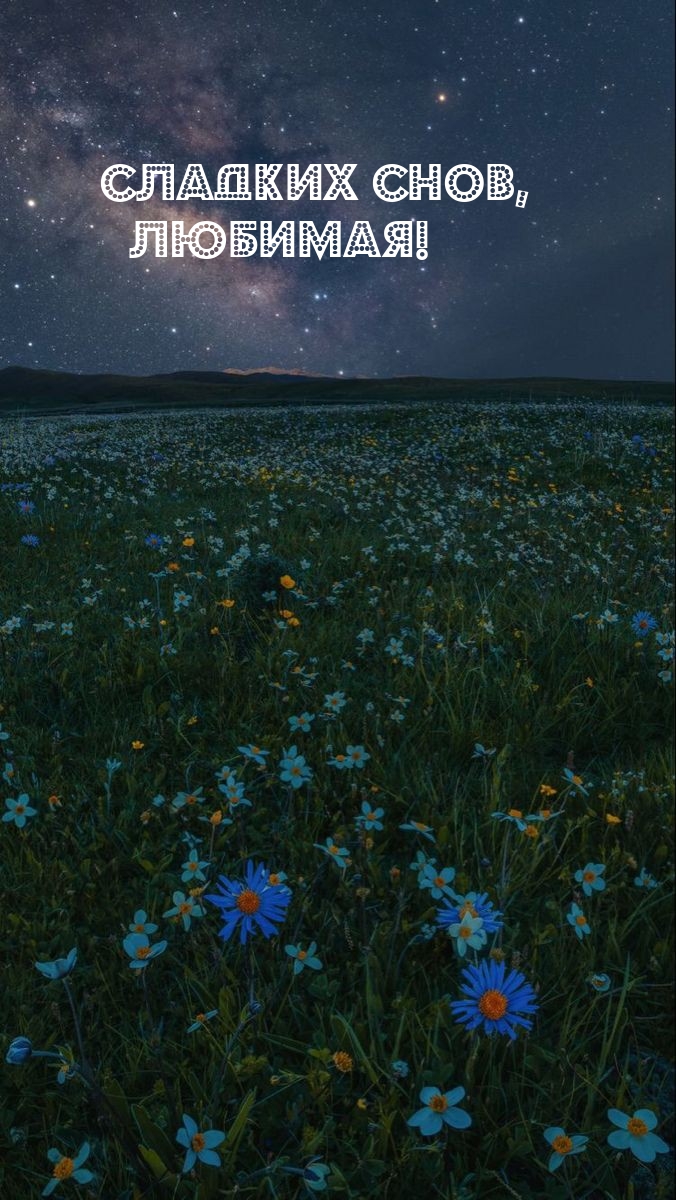 Сладких снов, любимая!