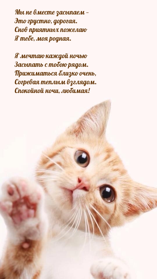 Снов приятных пожелаю. Спокойной ночи, любимая!