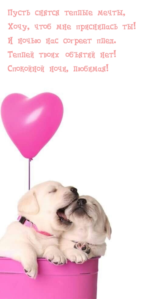 Пусть снятся теплые мечты, хочу, чтоб мне приснилась ты!
