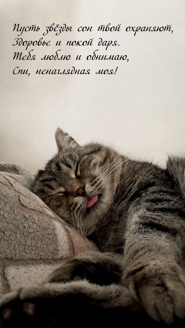 Тебя люблю и обнимаю, спи, ненаглядная моя!