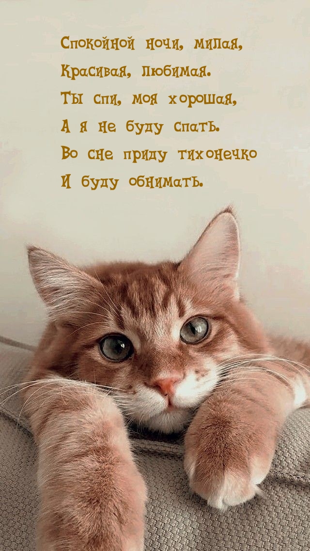 Спокойной ночи, милая, красивая, любимая.