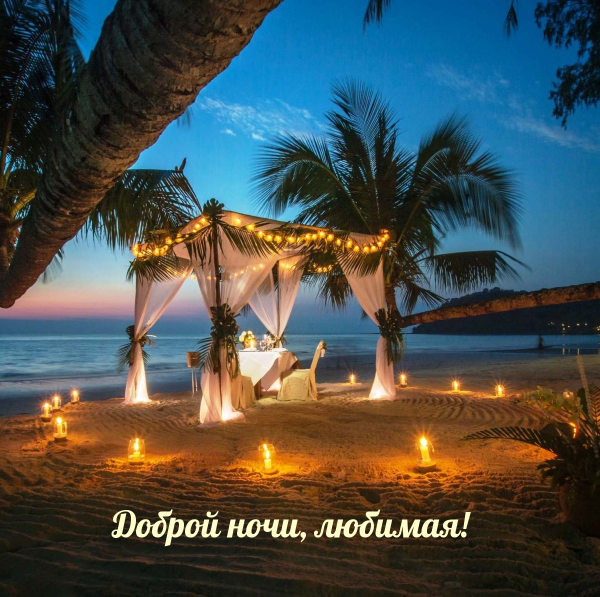 Доброй ночи, любимая!