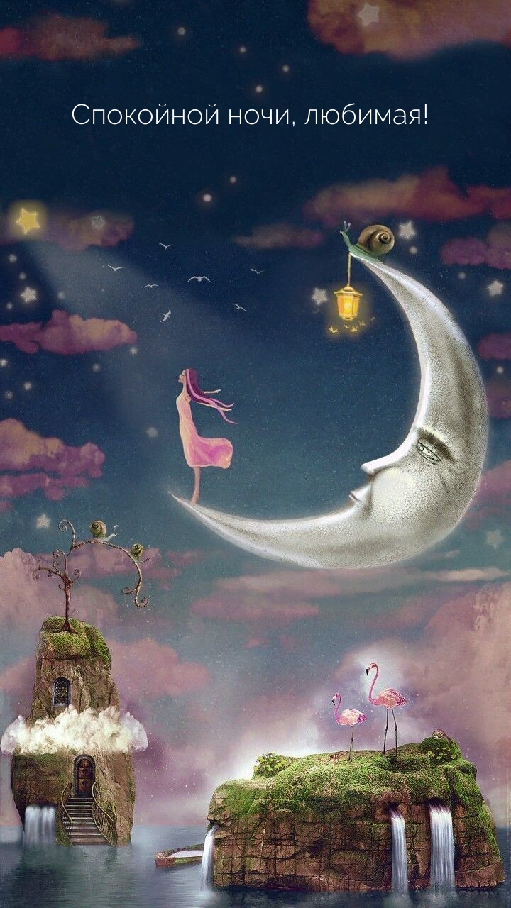 Спокойной ночи, любимая!