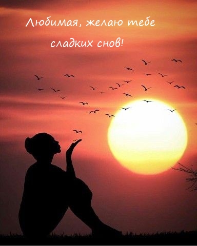 Любимая, желаю тебе сладких снов!