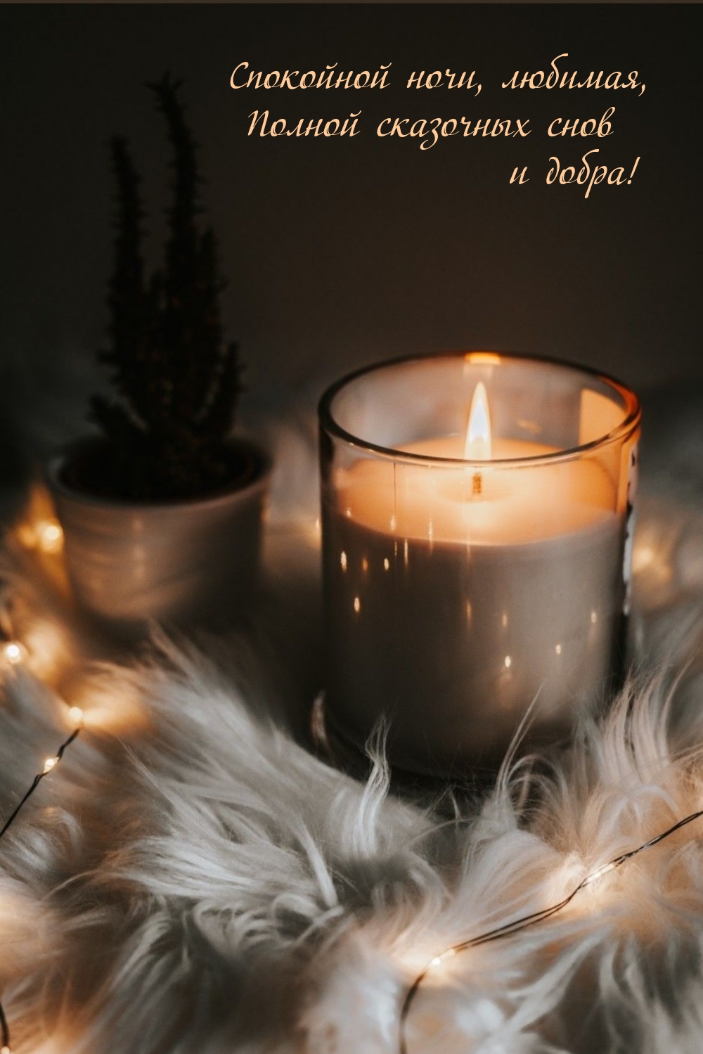 Спокойной ночи, любимая,  Полной сказочных снов и добра!