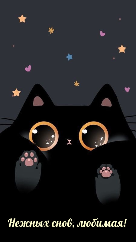 Нежных снов, любимая!