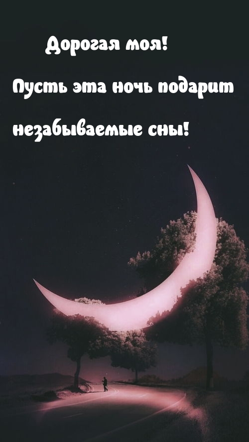 Дорогая моя! Пусть эта ночь подарит незабываемые сны!