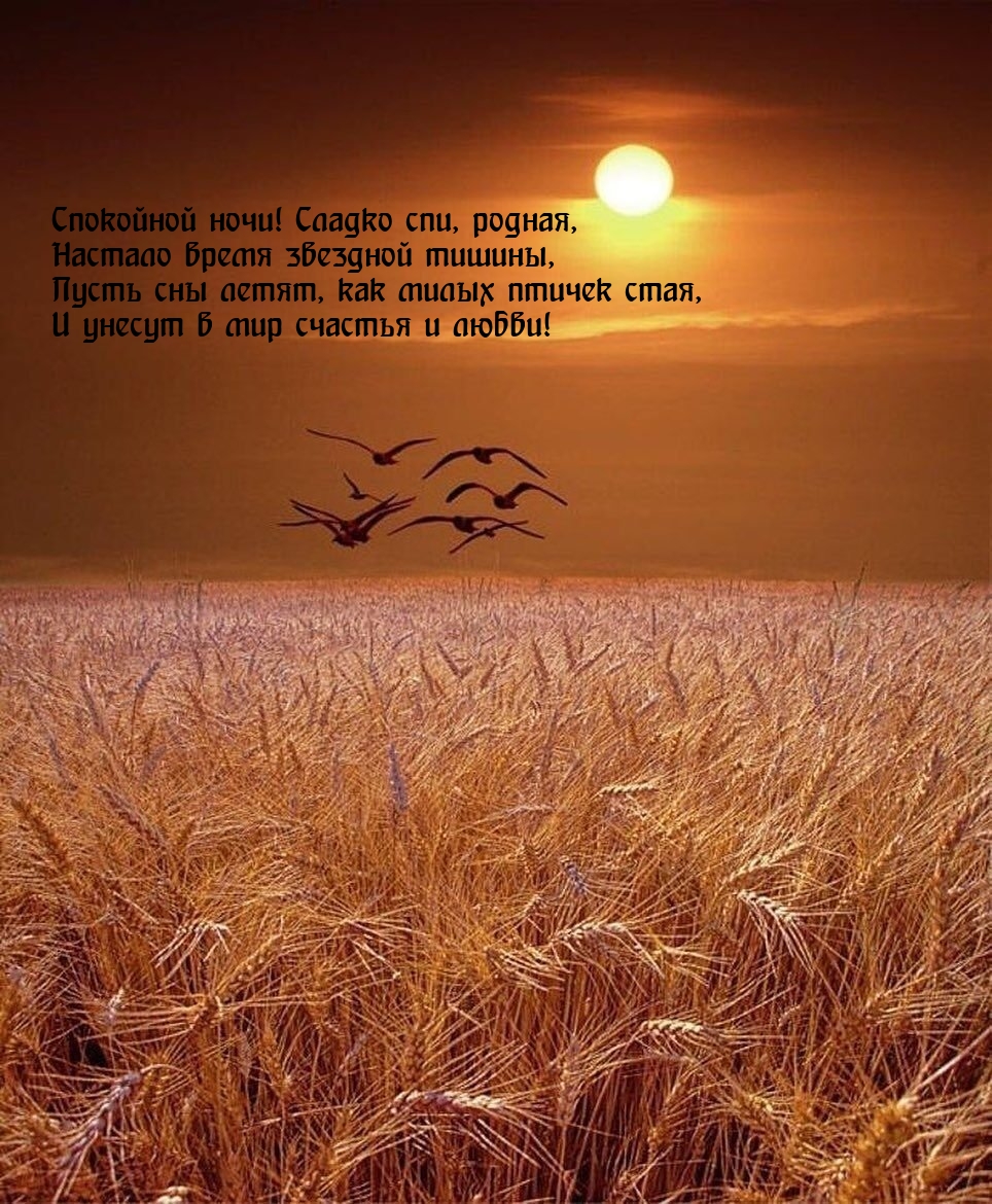 Спокойной ночи! Сладко спи, родная