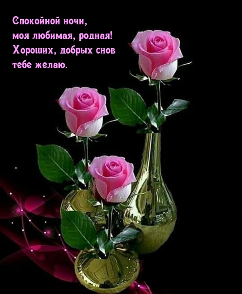 Спокойной ночи, моя любимая, родная! Хороших, добрых снов желаю.