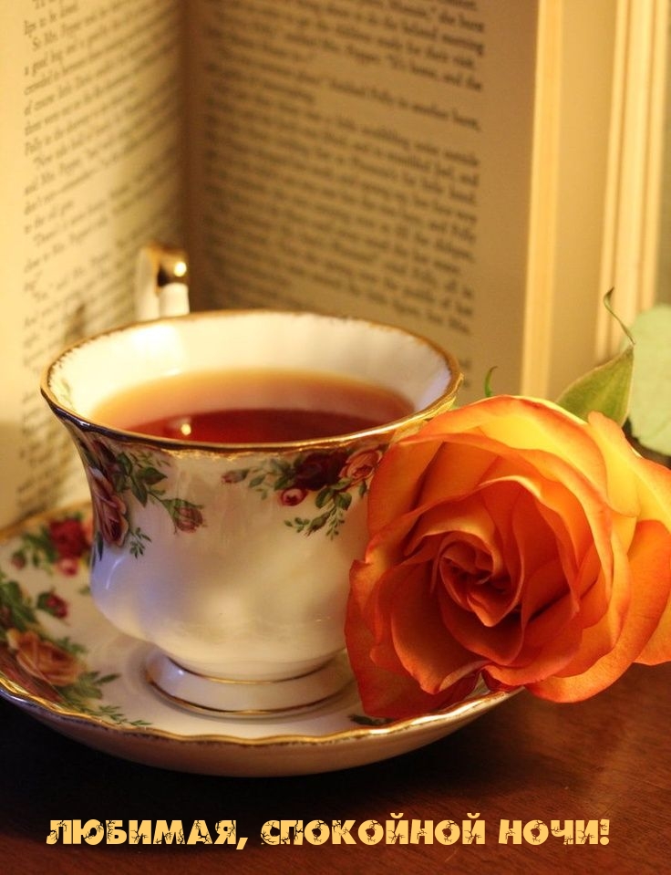 Любимая, спокойной ночи!