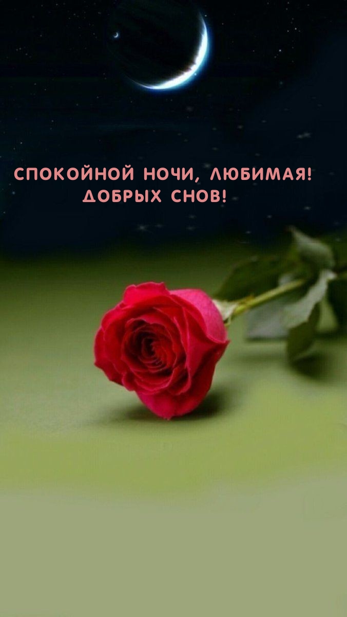 Спокойной ночи, любимая! Добрых снов!