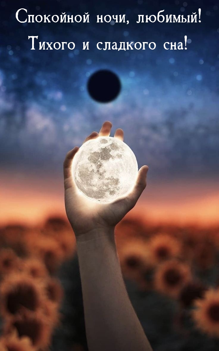 Спокойной ночи, любимый! Тихого и сладкого сна!