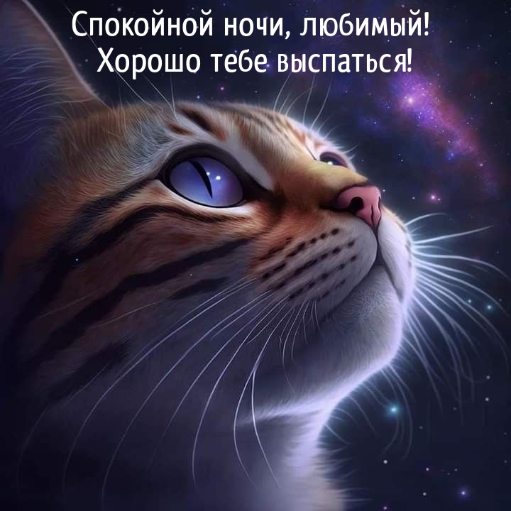 Спокойной ночи, любимый! Хорошо тебе выспаться! 