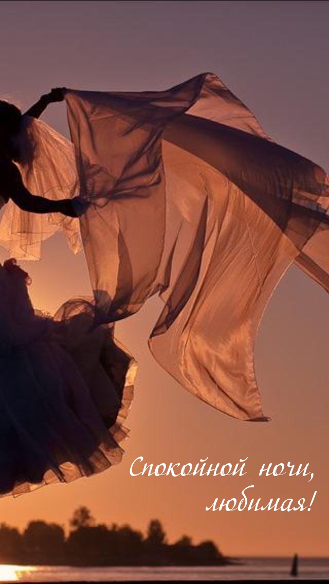 Спокойной ночи, любимая!