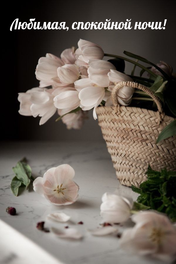 Любимая, спокойной ночи!