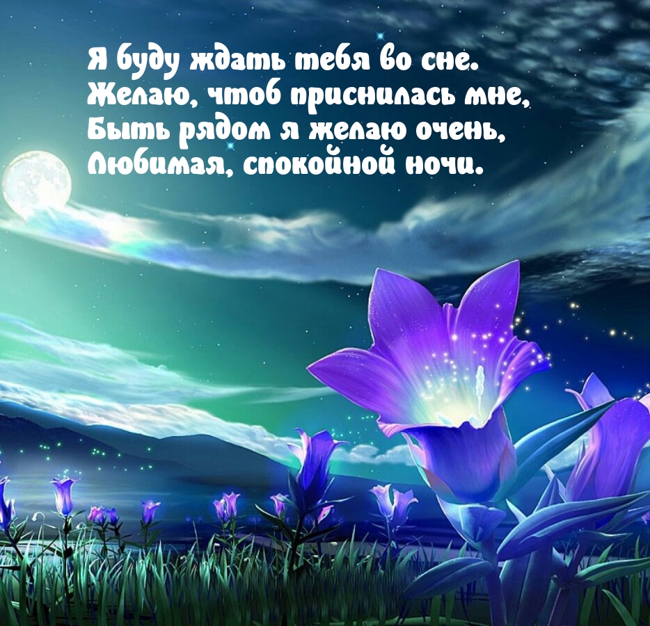 Я буду ждать тебя во сне. Любимая, спокойной ночи.