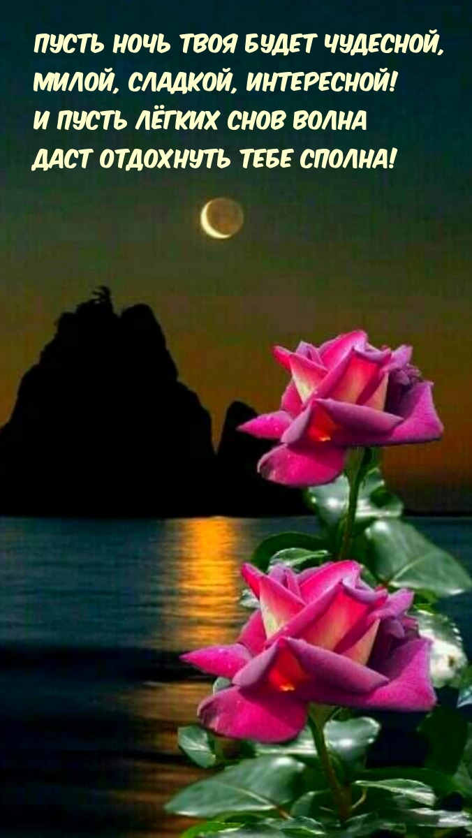 Пусть ночь твоя будет чудесной, милой, сладкой, интересной!