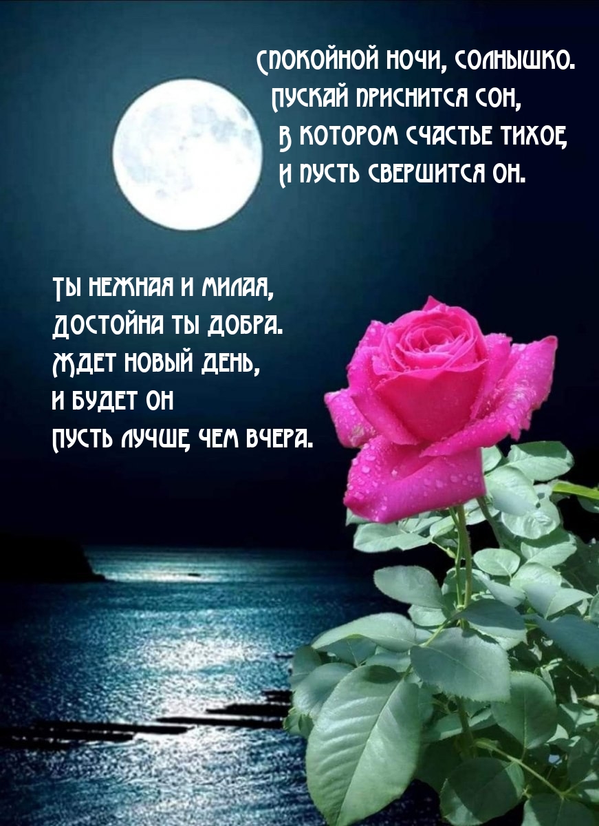 Спокойной ночи, солнышко. Пускай приснится сон