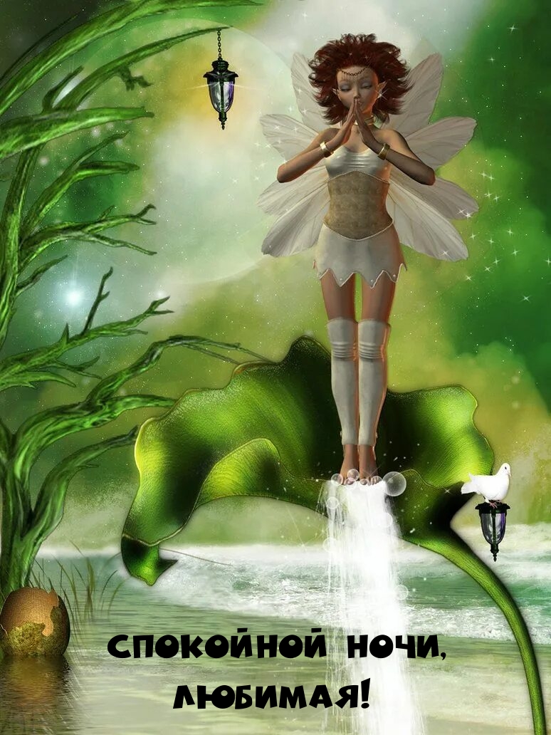 Спокойной ночи, любимая!
