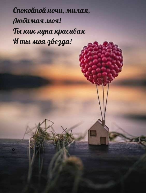 Спокойной ночи, милая, Любимая моя! Ты как луна красивая