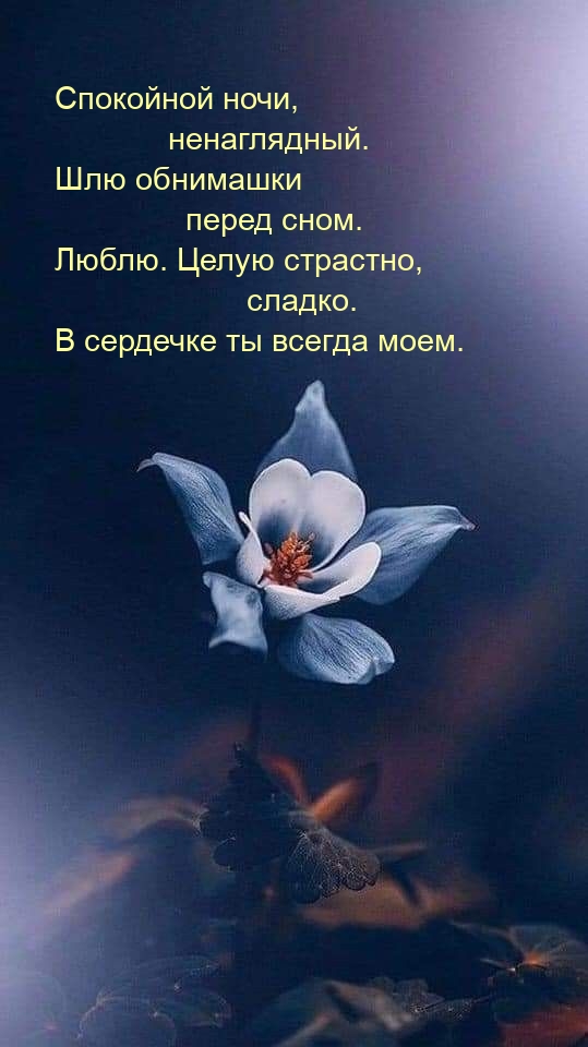 Спокойной ночи, ненаглядный. Шлю обнимашки перед сном.