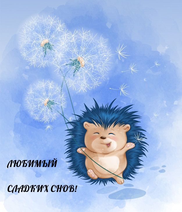 Любимый Сладких снов!