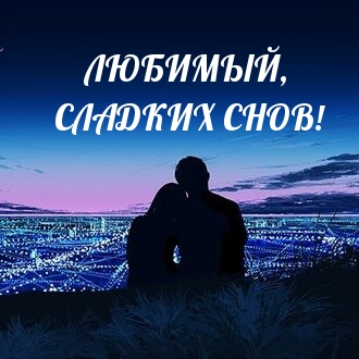 Любимый, сладких снов!